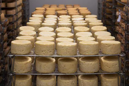 На Сахалине запустили первое в области промышленное производство сыров